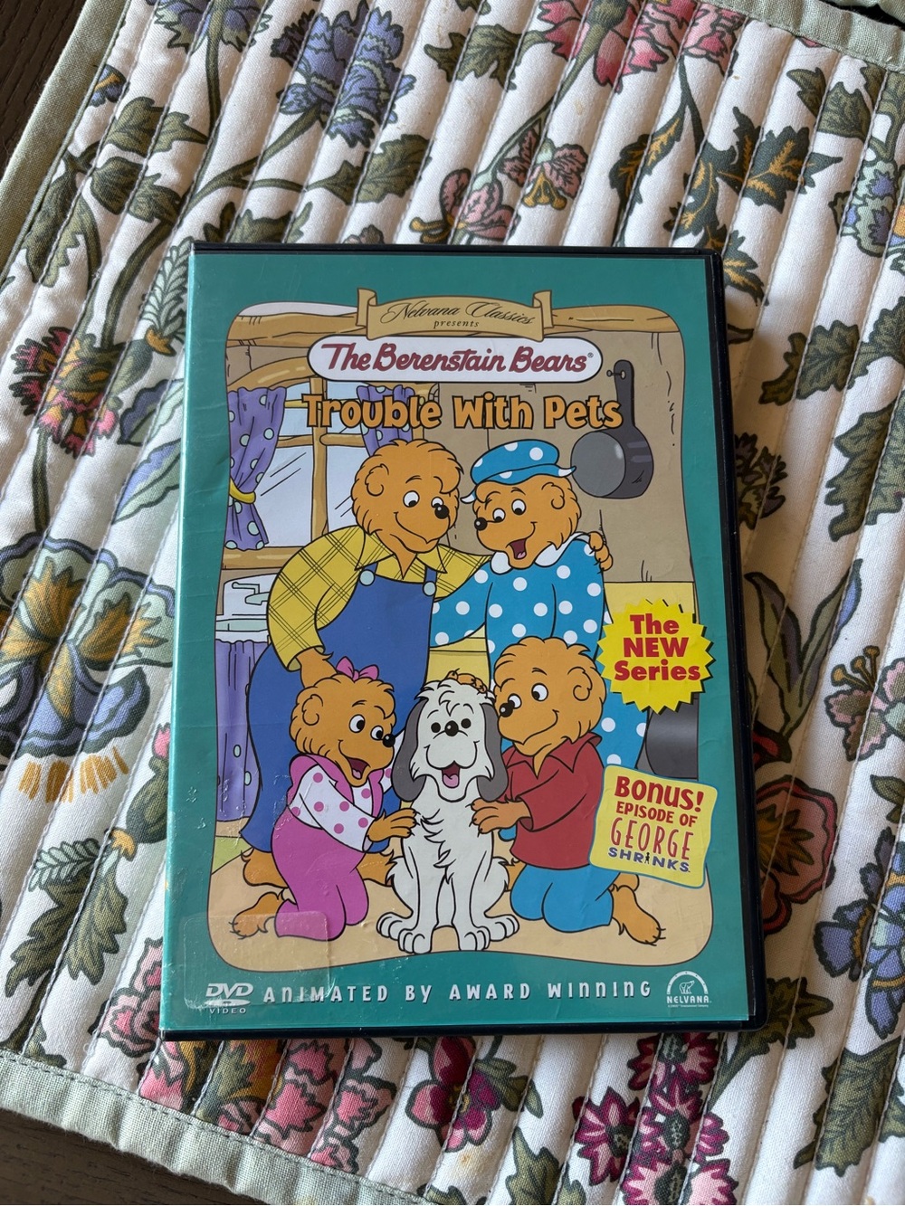 The Berenstain Bears: Trouble With Pets DVD - Teal Cover